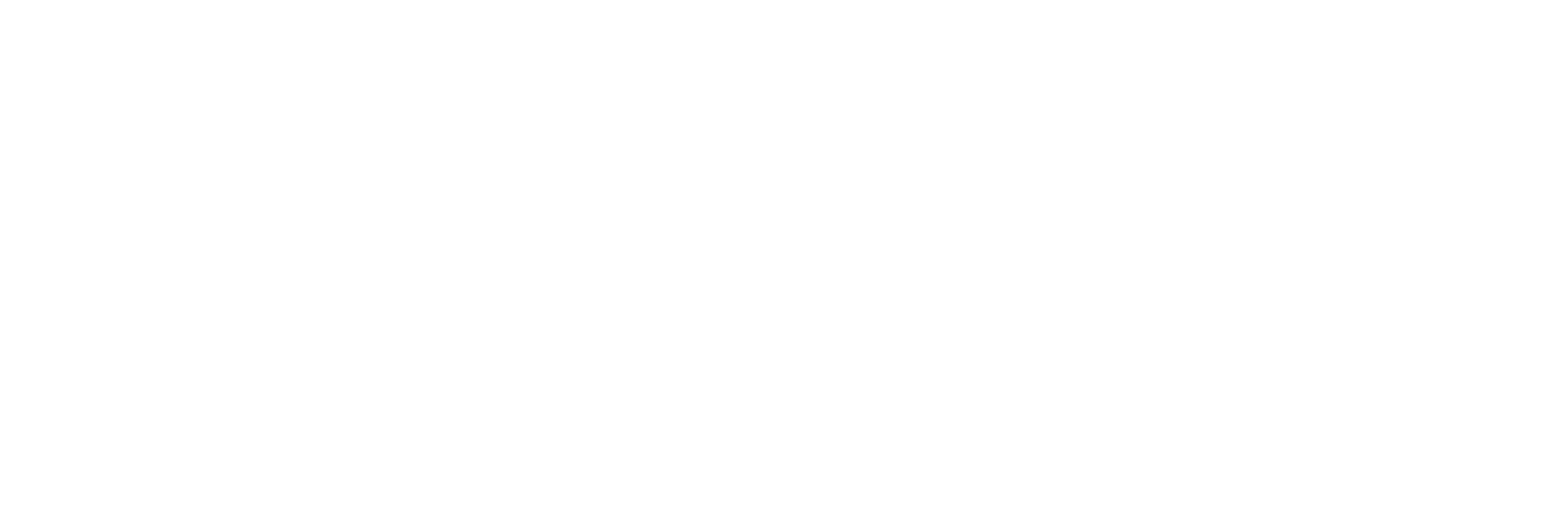 치수가 포함된 BLK2GO 기술 도면