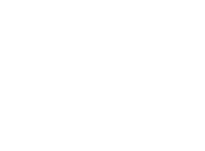 BLK ARC