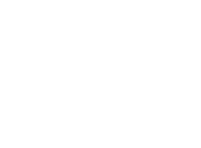 BLK360